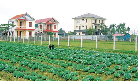 trienvong-480x281.jpg