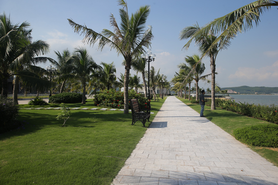 Khuôn viên cây xanh được thiết kế bao quanh khu nghỉ dưỡng 