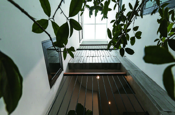 Thiết kế tổ chức giếng trời nhằm nâng cao tính tiện nghi và sinh thái cho không gian nội thất nhà phố
