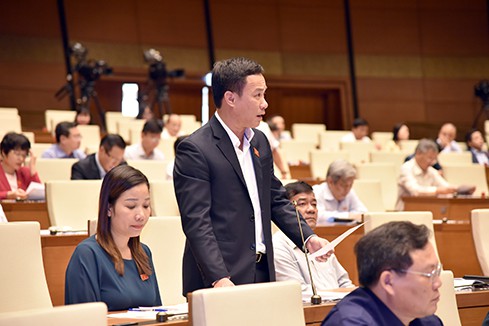 Đại biểu Triệu Thế Hùng phát biểu tại phiên thảo luận (ảnh: Quochoi.vn)