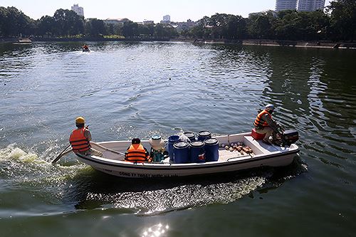 Làm sạch nước hồ tại Hà Nội