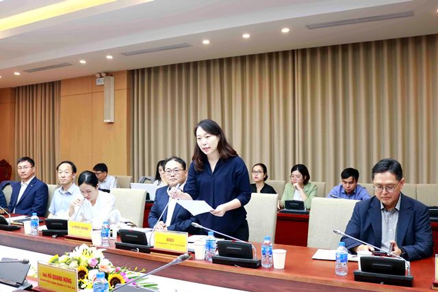 Phó Giám đốc KOICA Việt Nam Jeong Min Kim phát biểu tại Hội thảo