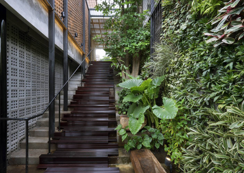 Lối đi lên khu vực chung của căn nhà tuyệt đẹp với một “vườn treo” trên tường 