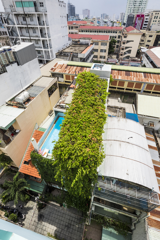 Sân thượng được bao phủ bởi “tấm màn xanh”, trở thành không gian đầy sắc xanh của cây cối. Đây là một điều hiếm thấy ở các khu đô thị đông đúc.