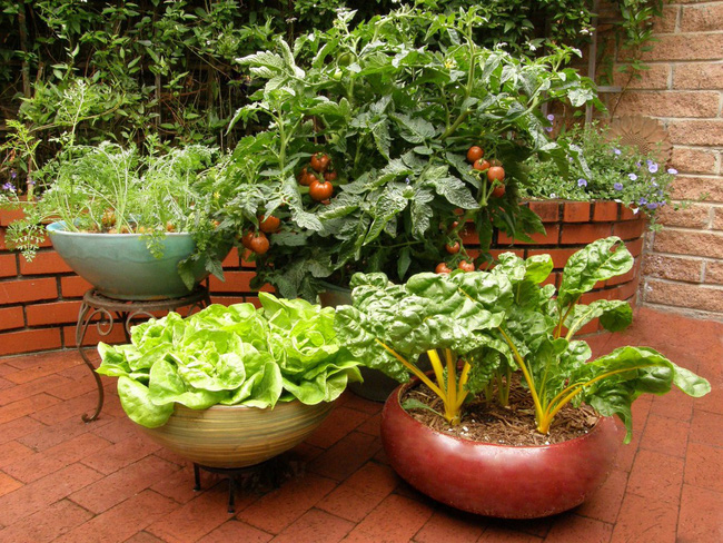Sử dụng những chiếc chậu trồng độc đáo từ việc tái chế hoặc mua vài chậu khác thường là ý tưởng cực hay cho khu vườn rau của bạn sống động.