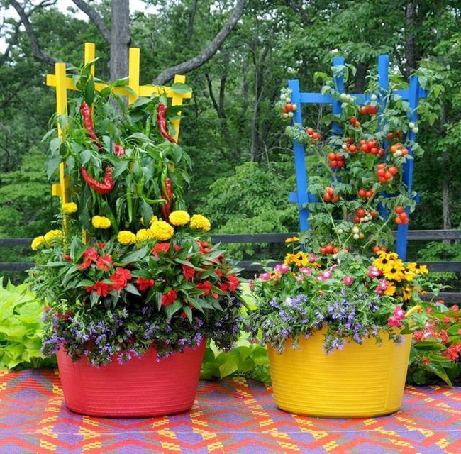 Bạn có thể làm sáng khu vườn rau của bạn bằng cách chọn các thùng chứa đầy màu sắc để trồng các loại rau và thảo mộc yêu thích.