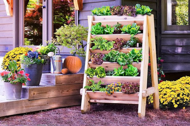 Bạn có thể trồng các loại thảo mộc và rau xanh tươi dễ dàng trong một không gian hạn chế bằng cách làm theo ý tưởng này.