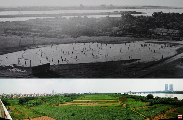 Ảnh của Hữu Cấy năm 1955 về bãi đá bóng Long Biên cho thấy bãi giữa sông Hồng khi đó chỉ là một doi đất nhỏ. Đến năm 2018, khu vực bãi giữa đã là một cánh đồng rộng gần 100 ha.