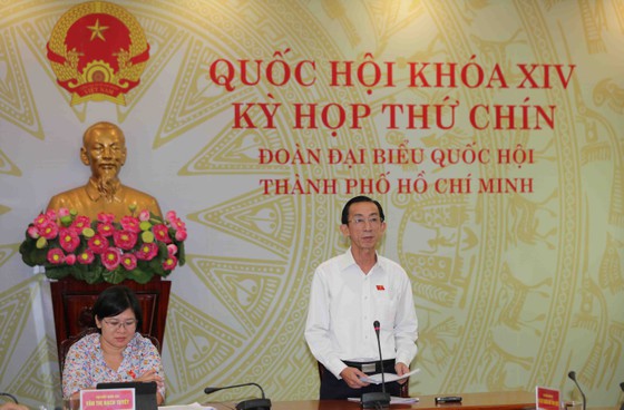 ĐB Trần Hoàng Ngân phát biểu tại điểm cầu Đoàn ĐBQH TPHCM. Ảnh: DŨNG PHƯƠNG