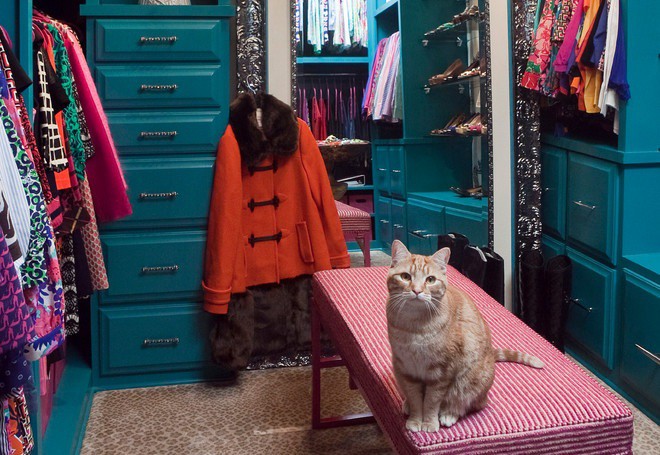 Closet không chỉ là nơi chứa quần áo mà còn có thể cho bạn cảm hứng để mặc đẹp mỗi ngày