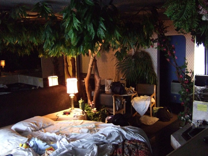 Một thiết kế mang thiên nhiên sinh động vào phòng ngủ.