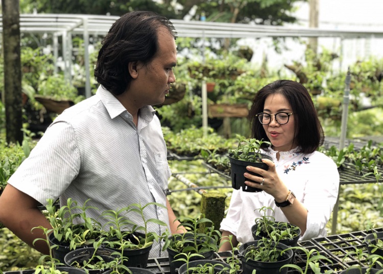 TP Hồ Chí Minh áp dụng các kỹ thuật tiên tiến để phát triển nông nghiệp công nghệ cao. Ảnh: CTV