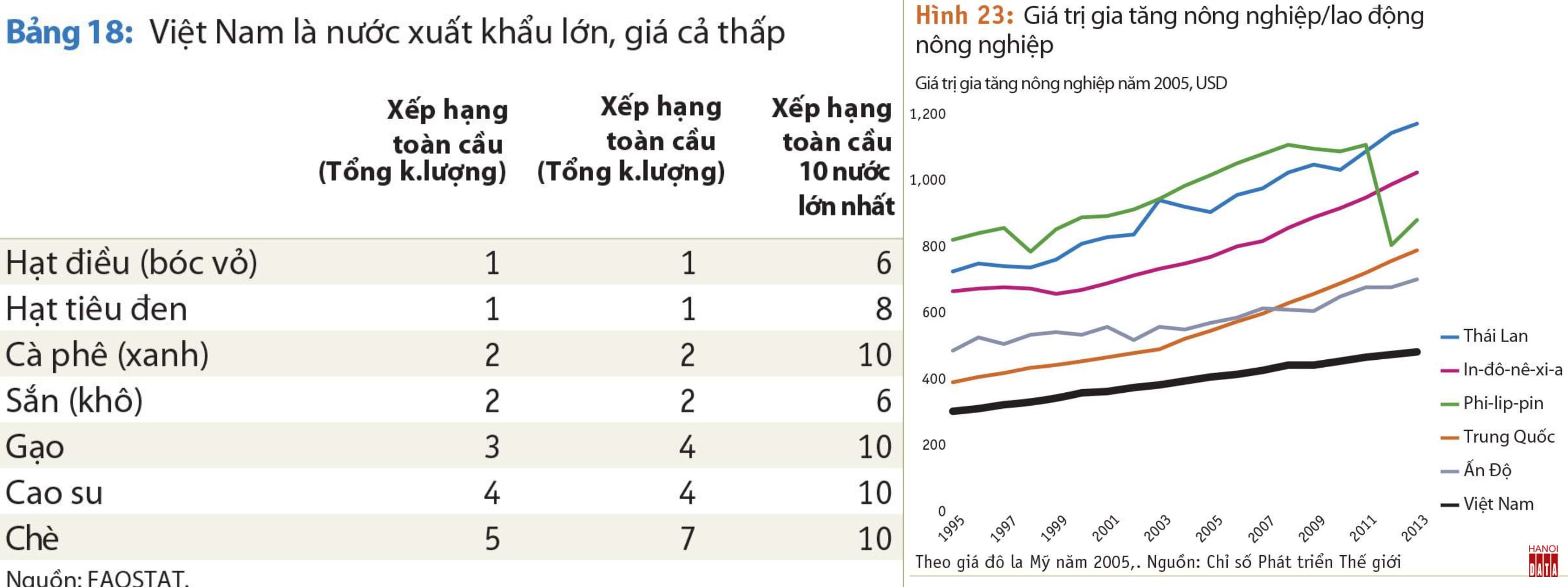 Nông sản Việt Nam xuất khẩu nhiều nhưng giá còn thấp, trị giá gia tăng/lao động nông nghiệp cũng vậy