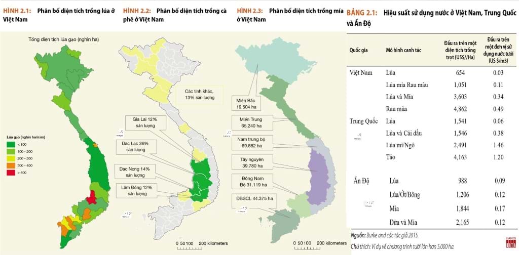 Việt Nam không chỉ trồng lúa mà đã phát triển nhiều vùng sản xuất nông sản mới. Nguồn: WB