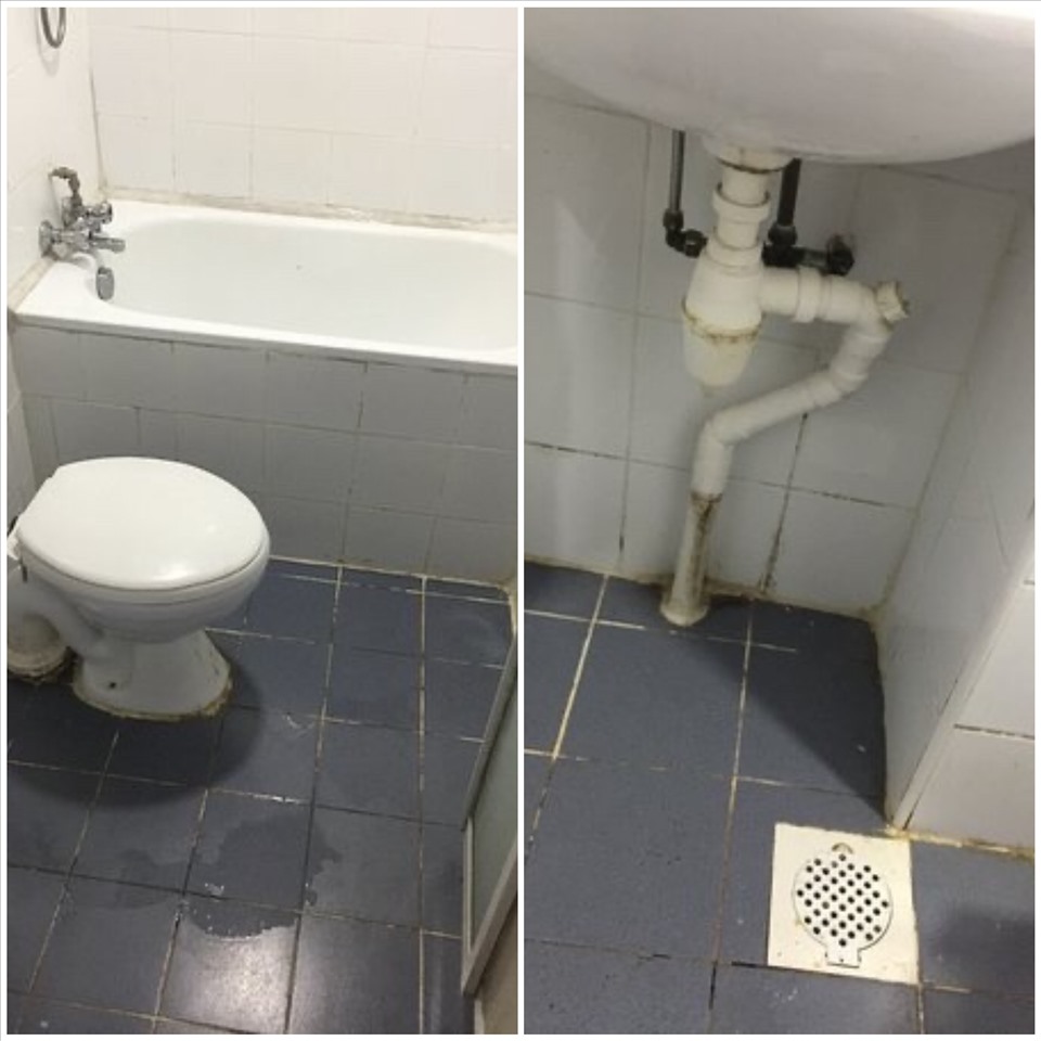 Phòng tắm sạch phụ thuộc nhiều vào loại gạch cũng như người sử dụng có chịu khó vệ sinh hay không