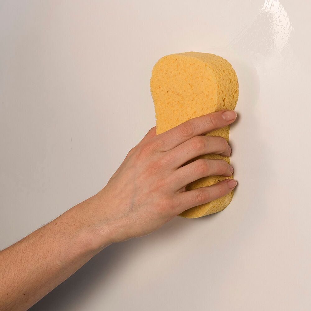 Tường nhà dễ bám vi khuẩn và virus gây bệnh nhưng ít được lau chùi, dọn dẹp