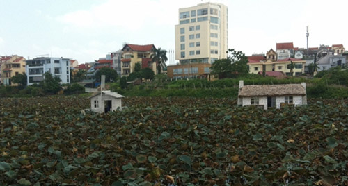 Đừng “bức tử” hồ Tây