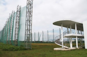 Sân chơi thanh niên thiếu trầm trọng, sân tập golf bỏ hoang