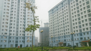 Hoang vắng nhà tái định cư