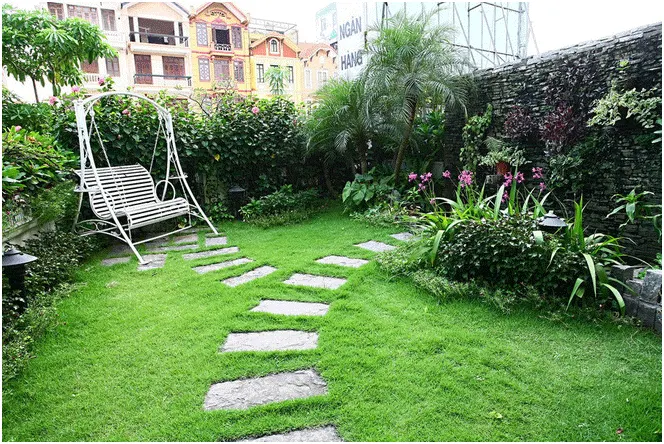 Nhà cải tạo với vườn xanh trên mái