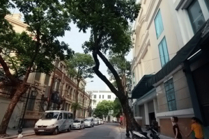 Đất vàng cạnh Hồ Gươm rao giá bèo, nhà đầu tư vẫn ‘chê’