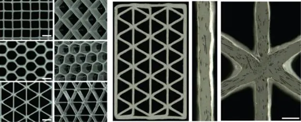 Phát triển vật liệu xơ carbon thay thế nguyên liệu gỗ balsa