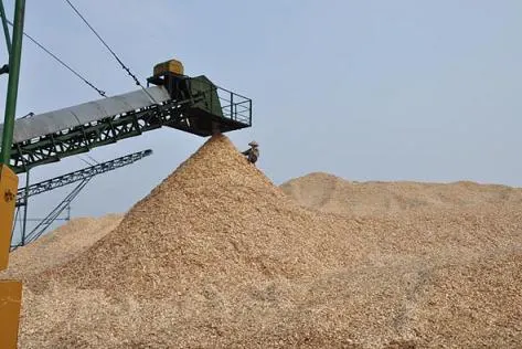 Miễn kiểm dịch thực vật đối với dăm gỗ xuất khẩu