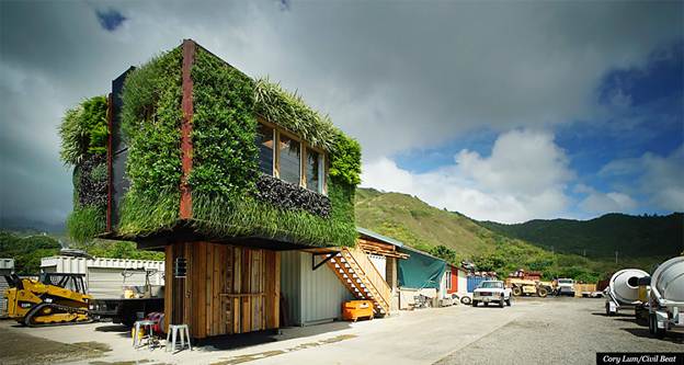 Ngôi nhà bọc trong bức tường xanh lá cây