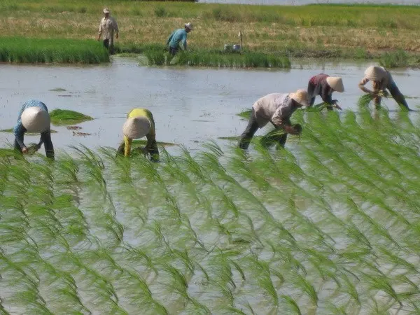 Thái Nguyên bố trí hơn 1.000 tỷ đồng xây dựng nông thôn mới