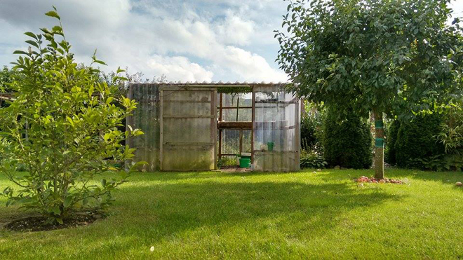 Vườn rau trái Việt ở trời Tây