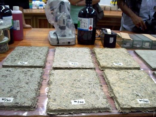 Sản xuất vật liệu xây dựng từ lông gà