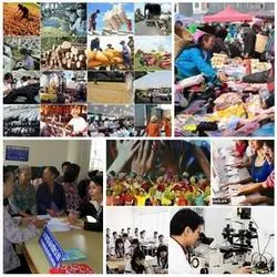 Chỉ đạo, điều hành của Chính phủ, Thủ tướng Chính phủ nổi bật tháng 10/2015