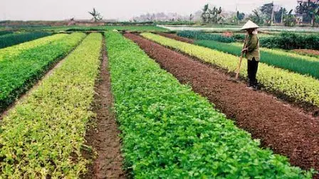 1 triệu tỷ đồng để đầu tư xây dựng nông thôn mới