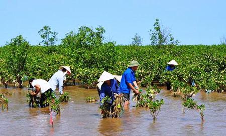 Việt Nam khẳng định cam kết ứng phó với biến đổi khí hậu