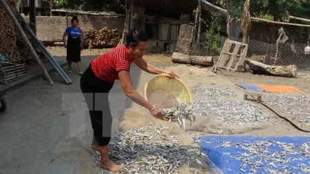 Cuộc sống của người dân tái định cư thủy điện Sơn La ở xã Mường Giàng, huyện Quỳnh Nhai, tỉnh Sơn La. (Ảnh: Công Luật/TTXVN)