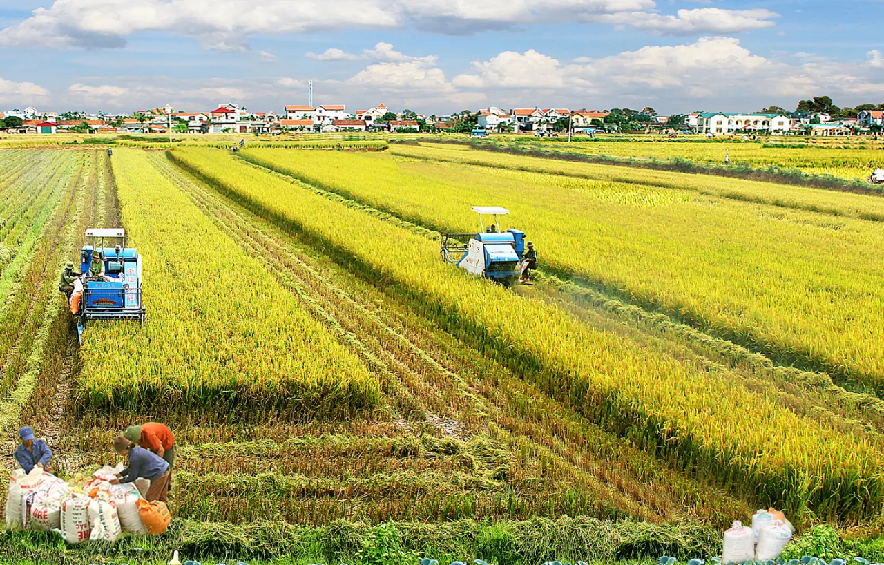 Mô hình định cư nông thôn Việt Nam – Nhận diện – Quy hoạch phát triển bền vững