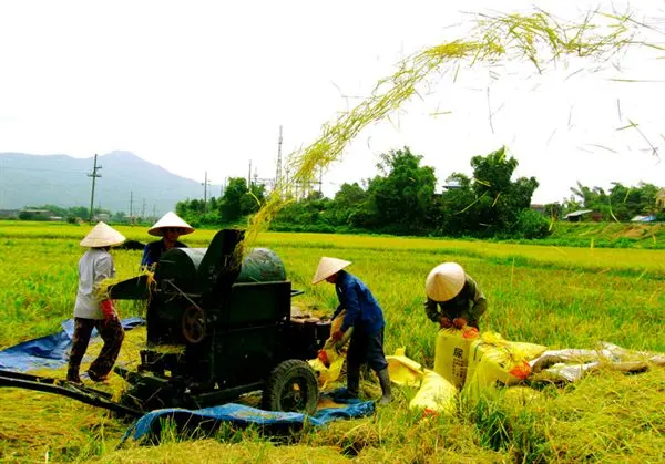 Phân bổ vốn Chương trình MTQG xây dựng nông thôn mới