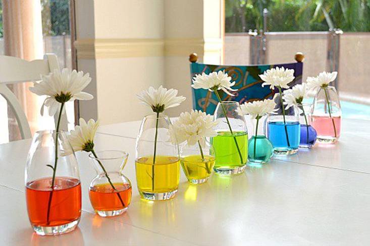 Mang cầu vồng rực rỡ vào ngôi nhà của bạn