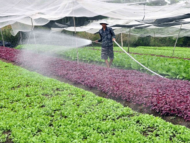 Đến năm 2020: 80% số xã của Hà Nội đạt chuẩn nông thôn mới