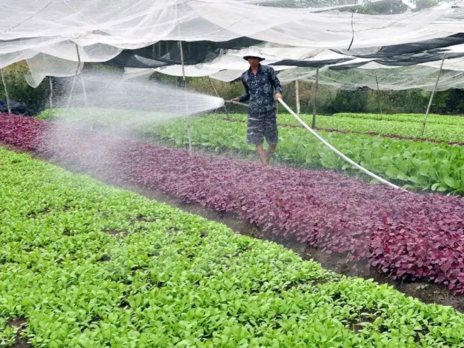 Đến năm 2020: 80% số xã của Hà Nội đạt chuẩn nông thôn mới