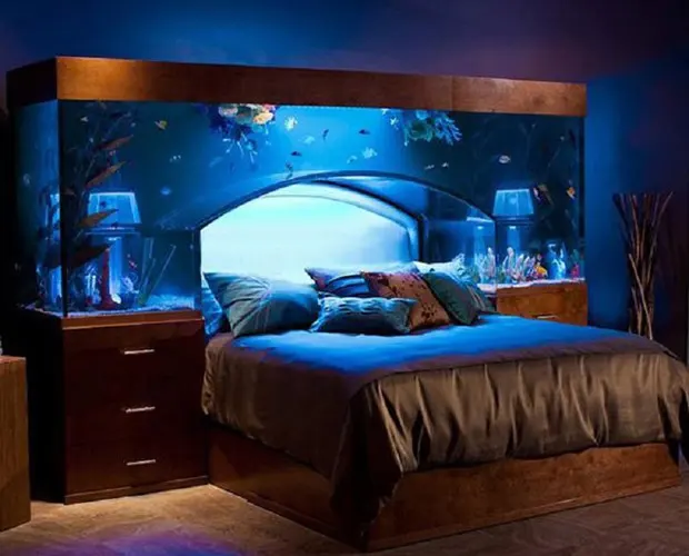 Những ngôi nhà có thiết kế tiện lợi và độc đáo