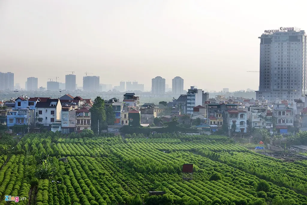 Một số chiều cạnh kinh tế-xã hội của vùng ven đô trong quá trình đô thị hóa