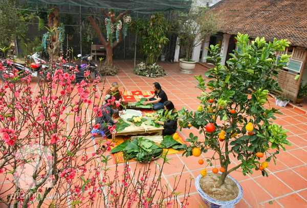 Xuân của niềm tin!