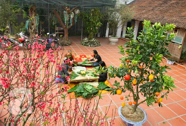 Xuân của niềm tin!
