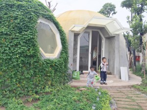 Những ngôi nhà một tầng ít tiền vẫn đẹp