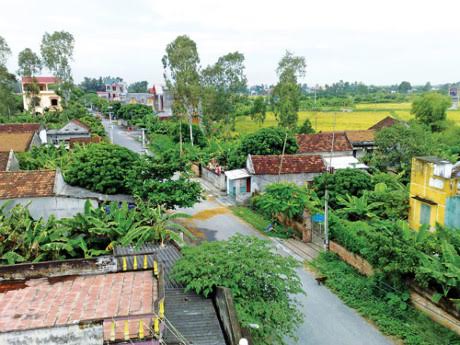 Quy hoạch xây dựng nông thôn: Động lực để phát triển toàn diện