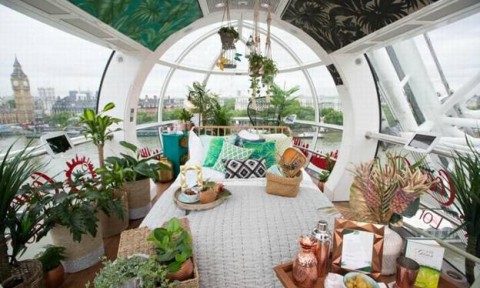 Ngôi nhà chuyển đổi London Eye lấy cảm hứng từ rừng nhiệt đới