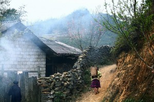 Vật liệu thân thiện