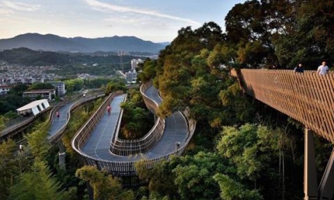 Trung Quốc xây dựng con đường đi bộ tuyệt đẹp trên ngọn cây