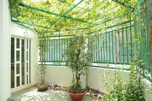 Nguyên nhân và cách chống nóng cho nhà ở